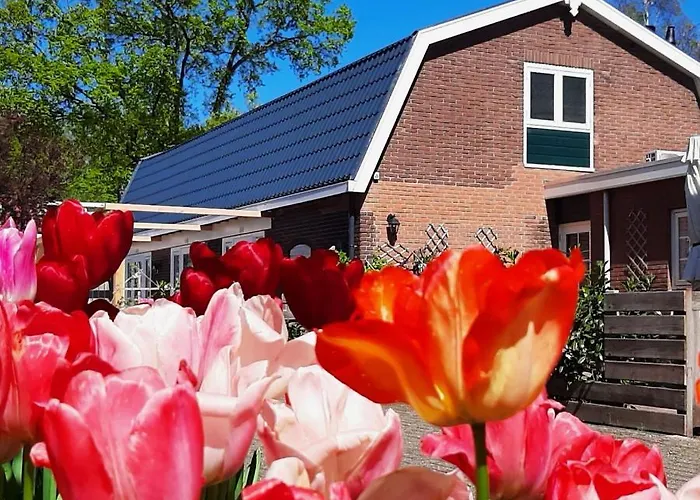 B&B De Hoffstal